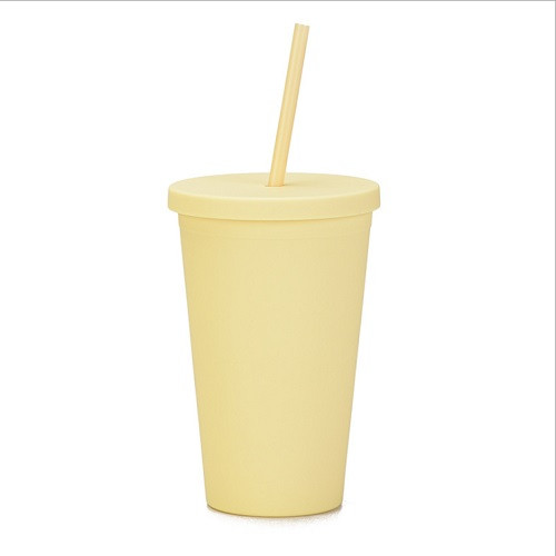 16oz Matte Plastic Cups with Lids & Straw 