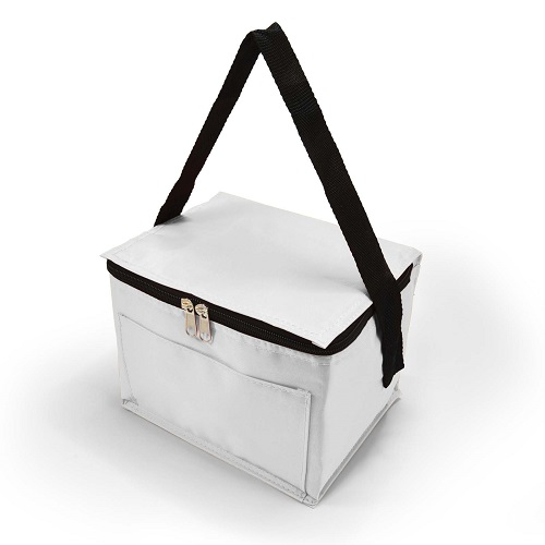 4.5L PVC Cooler Bag 