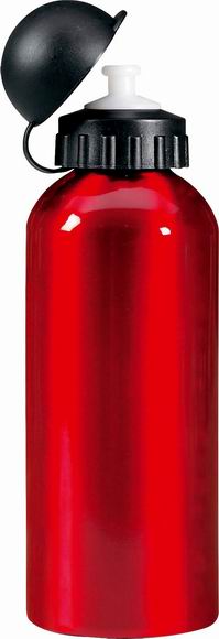 600ml Metal Drinking Bottle