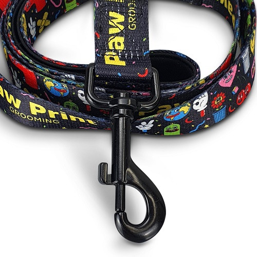 Amigo Dog Leash 