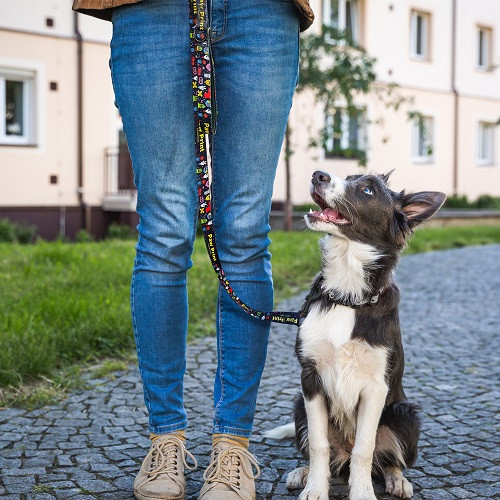 Amigo Dog Leash 