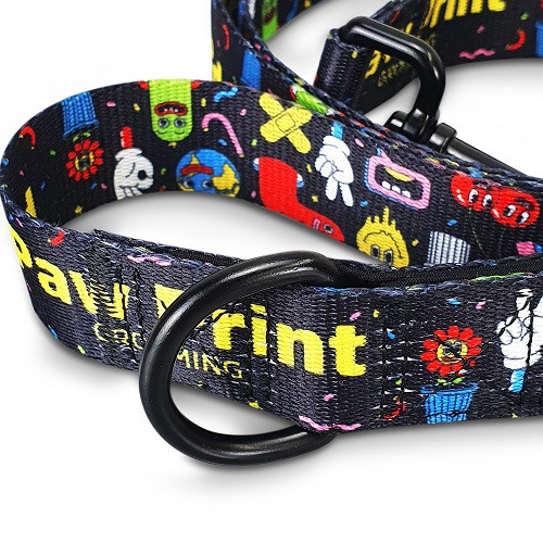 Amigo Dog Leash 