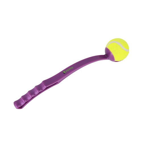Ball Thrower 