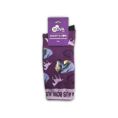 Full Colour Crew Socks with Header Card