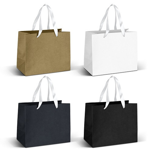 Medium Ribbon Handle Paper Bag 