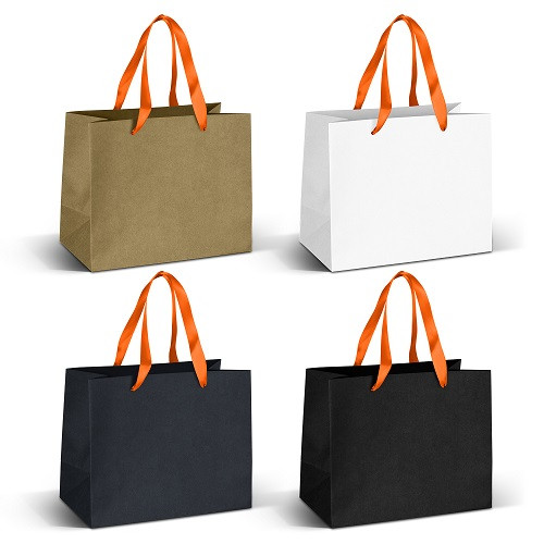 Medium Ribbon Handle Paper Bag 