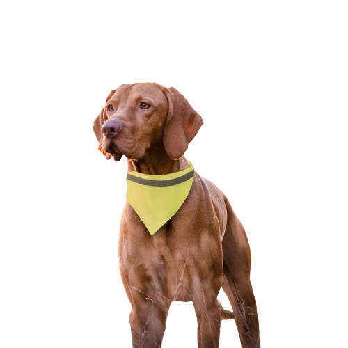 Pet Reflective Collar Bandana 