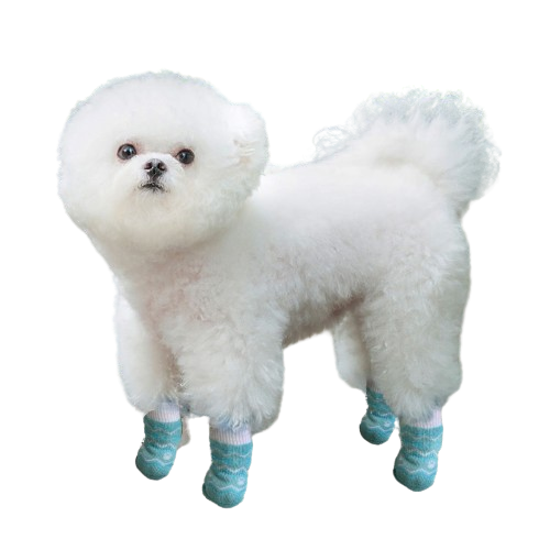 Pet Socks 