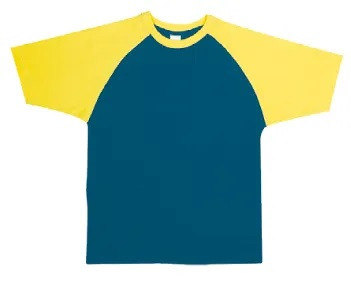 Raglan Sleeve T-shirts 