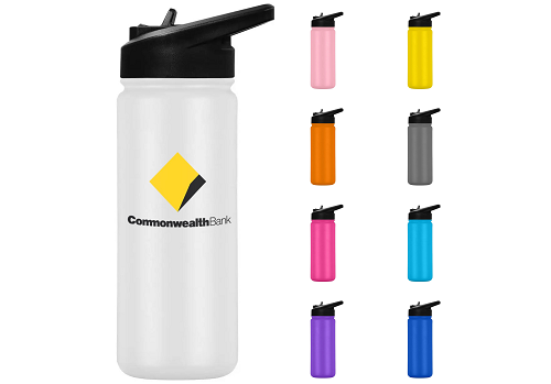 Texas 750ml Double Insulated Drink Bottle
