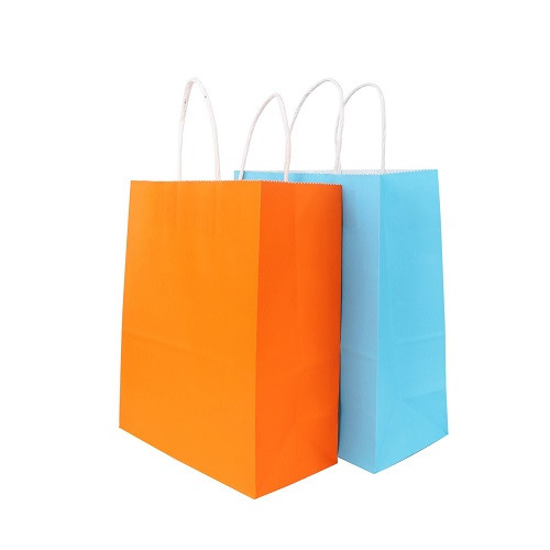 Twisted Handle Kraft Paper Bag (220x270x110mm) 