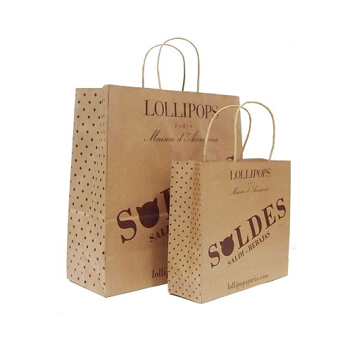Twisted Handle Kraft Paper Bag (220x270x110mm) 