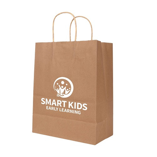 Twisted Handle Kraft Paper Bag (260x330x120mm) 