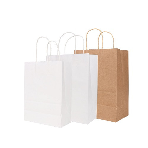 Twisted Handle Kraft Paper Bag (260x330x120mm) 