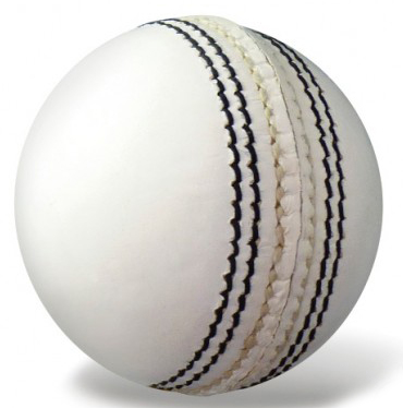 Autograph Cricket Ball 