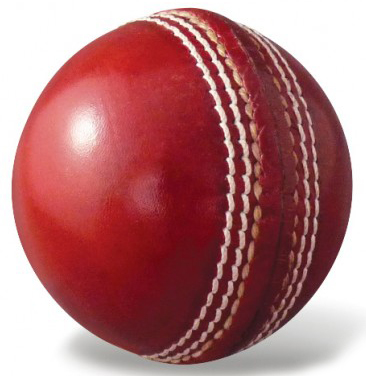 Autograph Cricket Ball