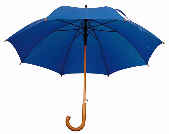 Automatic opening wooden umbrella 