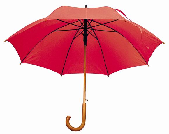 Automatic opening wooden umbrella 