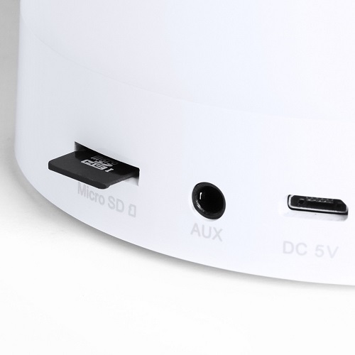 Branson LED Speaker 