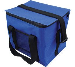 Can Cooler Bag 