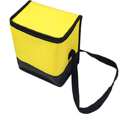 Can Cooler Bag 