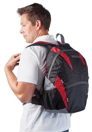 Chicane Backpack 