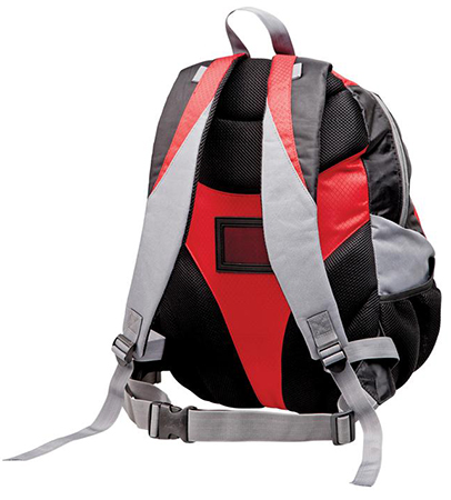 Chicane Backpack 
