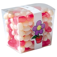 Corporate Colour Jelly Beans In Clear Mini Noodle Box