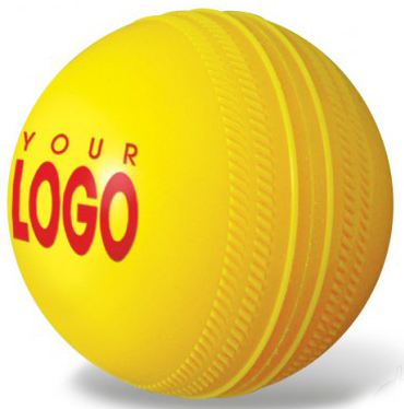 Cricket Ball - PVC 