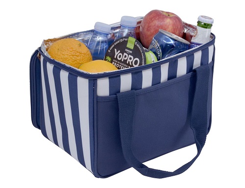 Davian Navy Picnic Cooler 