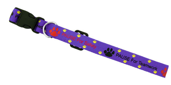 Dog Leashes & Collars