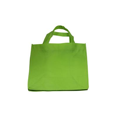 Enviro Bag 