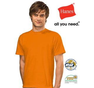 Hanes Men's Heavyweight T