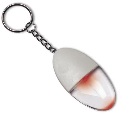 Key Ring Magnifier With Red Light 