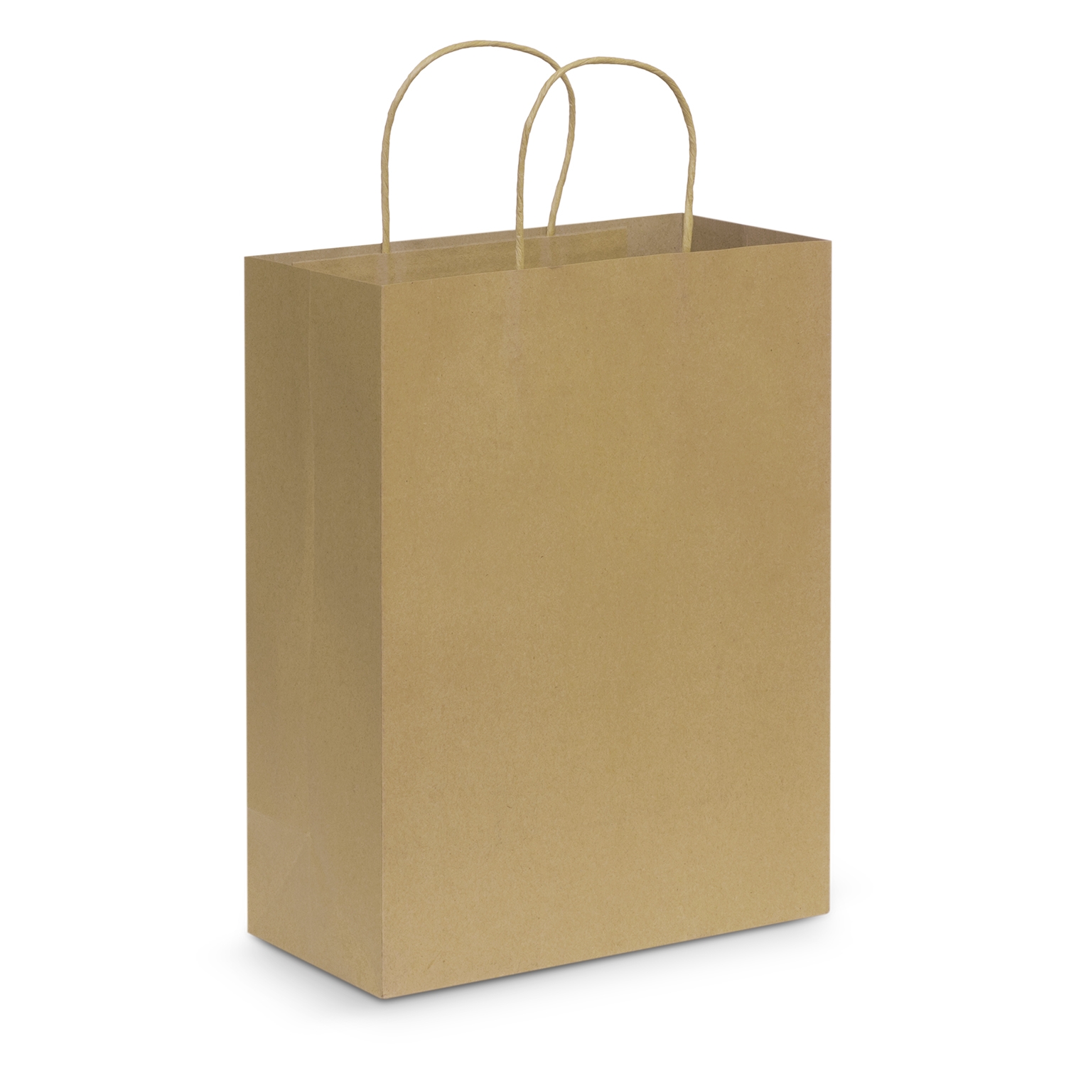 Large Paper Carry Bag 