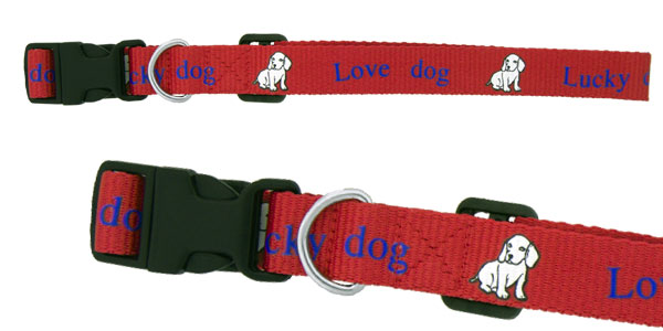 Leashes and Collars for Large and Small Dogs