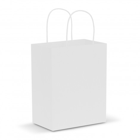 Medium Sized Paper Carry Bag 