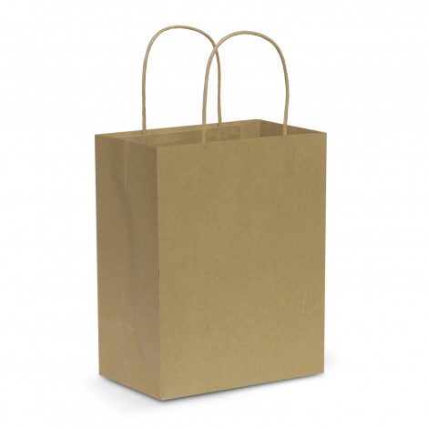 Medium Sized Paper Carry Bag 