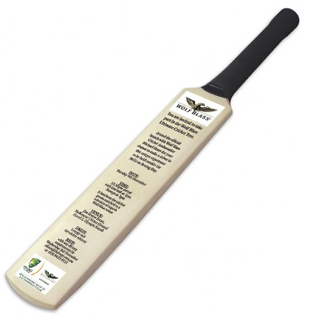 Mini Cricket Bat - 42 cm 