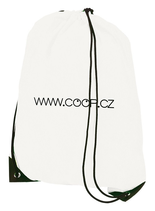 Non-Woven Back Sack 