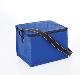 Non-Woven Lunch Buddy Cooler 