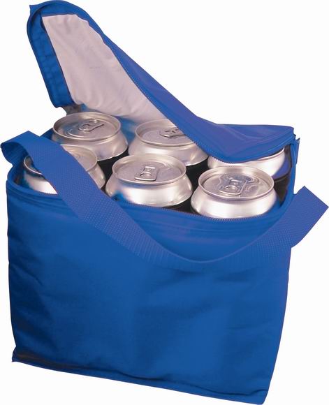 Nylon Cooler Bag