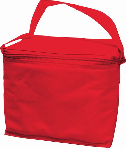 Nylon Cooler Bag with Carry Strap