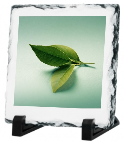 Photo Slates