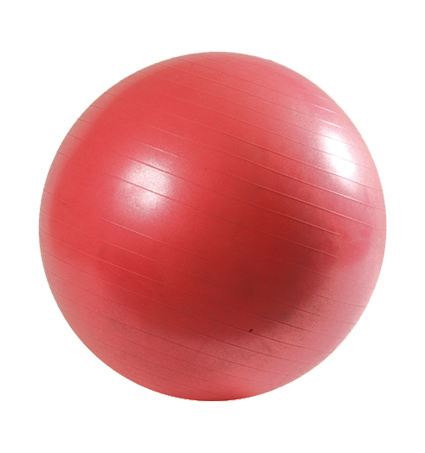 Pro-Fit Exercise Ball