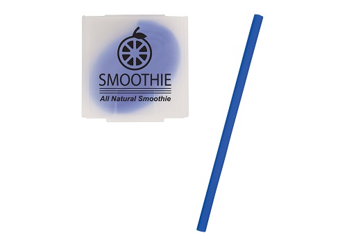 Silicone Straw in Case 