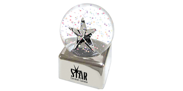 Silver Star Glitter Globe