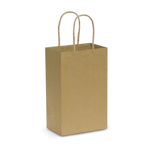 Small Paper Carry Bag 