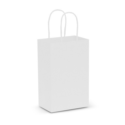Small Paper Carry Bag 