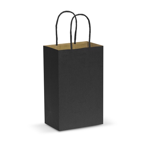 Small Paper Carry Bag 